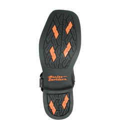 Harley-Davidson Landon 12 display picture 3