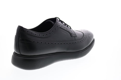 Geox U Winfred C Mens Black Leather Oxfords & Lace Ups Wingtip & Brogue Shoes