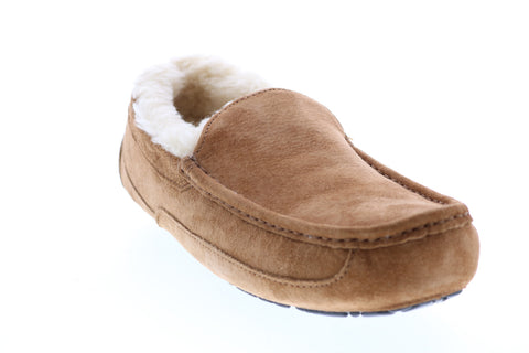 Ugg Suede Ascot 5775 CHE Mens Brown Suede Slip On Clog Slippers Shoes